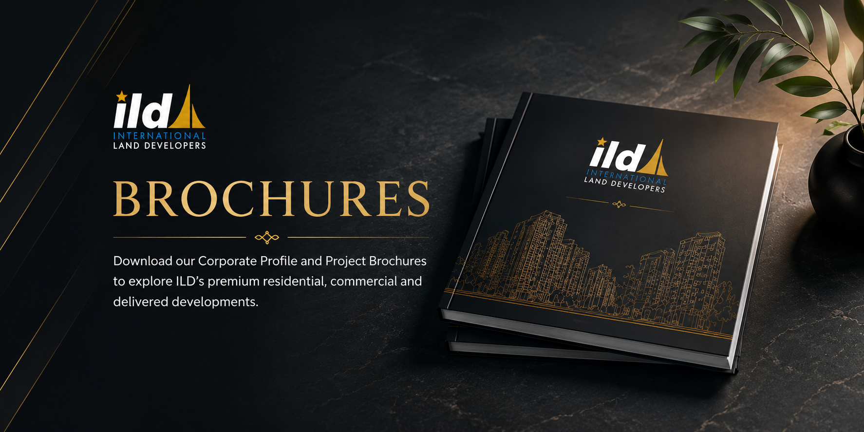 ILD Brochures